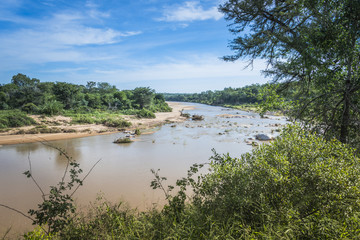 water in safari in kruger national park south africa