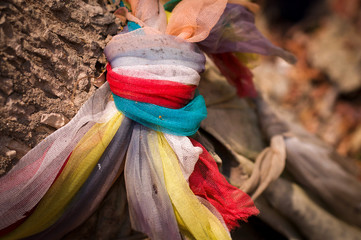 Ribbon Around Tree In Temple