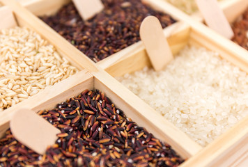 Jasmine rice, Brown rice, Red rice,Black rice, Mixed rice and Ri