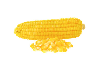 Boiled corn on white background