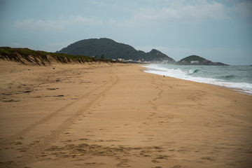 Fototapeta na wymiar Strand beim Nationalpark Parque Estadual Acaraí, bei São Francisco do Sul, Santa Catarina, in Brasilien