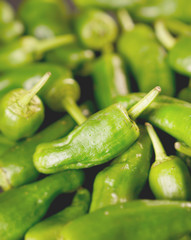 green peppers background - texture of green pepper, chili