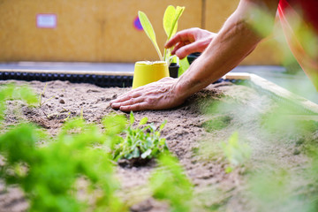 Gartenarbeit