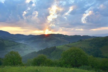 Fototapeta premium Beautiful alpine meadow with green grass. sunrise. landscape on wild transylvania hills. Holbav. Romania.