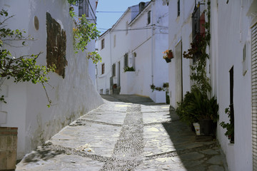 Fototapeta na wymiar Genalguacil, scenes and white villages typical of Andalucia