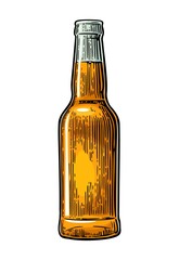 Open beer bottle. Vintage black and color vector engraving illustration.