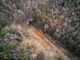 Abandoned and old railway tunnel - aerial shot from Dji mavic pro in forest / Paneriu tunelis