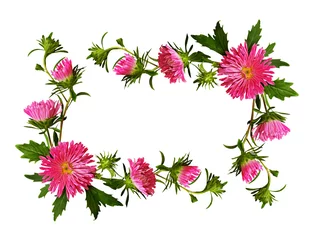  Decorative frame of pink aster flowers and buds © Ortis