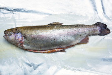 Whole rainbow trout on cooking foil for oven