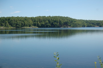 Lake Middlesex