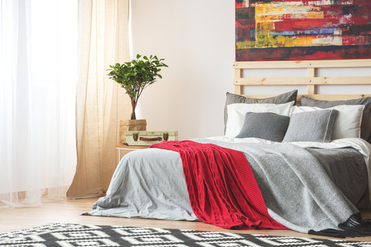 Grey Bed With Red Blanket