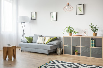 Living room with grey couch