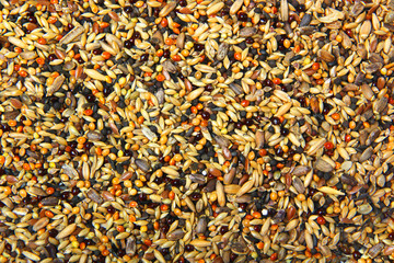 fodder for birds background