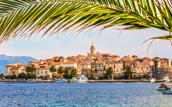 Chorwacja - wyspa Korcula. Miasto Korcula i palmowe liście. 