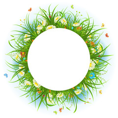 Summer frame with green grass, flowers, butterflies