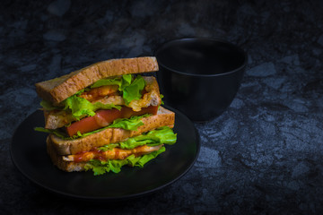 Sanwich chicken breast with cheese hotdog and vegetable (green oak) in dark background.