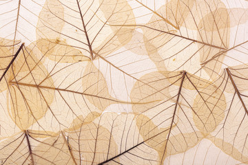 background of brown leaves - obrazy, fototapety, plakaty