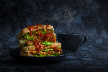 Sanwich chicken breast with cheese hotdog and vegetable (green oak) in dark background.