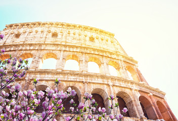 Obraz premium ruins of Colosseum, close up details of facade with sunshine at spring day, Rome Italy