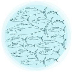 Vector school of tuna fish hand drawn illustration. Ink outlines sketch with marine animal swimming in the ocean, circle shape design - 141393374