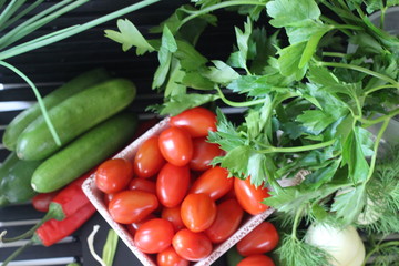 fresh vegetables and herbs, oregano, sage, chive, parsley, dill, onion, cucumber, green vegetables,...