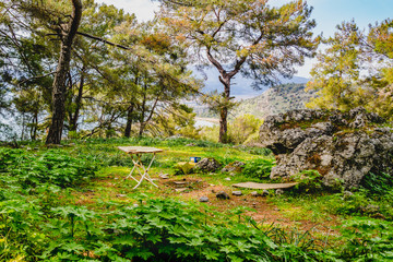 rural landscape turkey pastoral