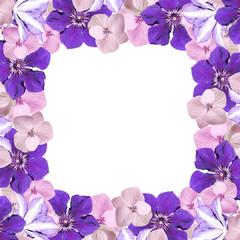 Beautiful floral background of hydrangeas and clematis 