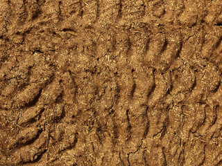 patterned mud and straw background of Rajasthan fuel store