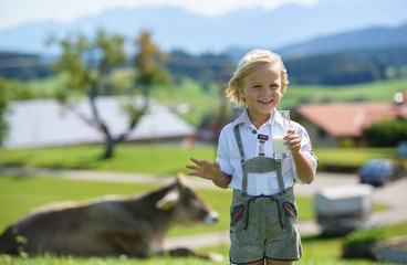 Happy bavarian boy drinking milk on the farm in Germany .