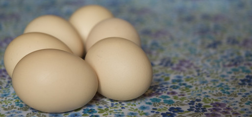 unbemalte Eier auf geblümter Decke
