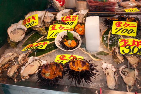 Sea urchin and oyster at fish market in Tokyo