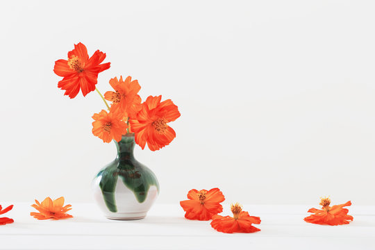 Orange Flowers In Vase On White Background