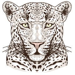 Leopard face tattoo ,Vector illustration, print