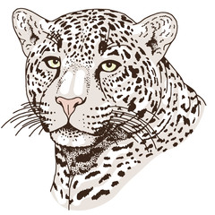 Leopard face tattoo ,Vector illustration, print