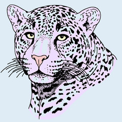 Leopard face tattoo ,Vector illustration, print