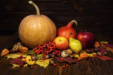 autumn still life, harvested pumpkins with fall leaves and autumn fruit, gifts of autumn, wooden...