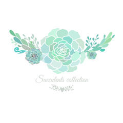 Elegant floral composition with succulents isolated on white. Vector illustration. 