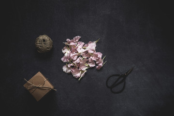 Flower petals on black background