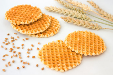 Round Square Cookies, spikes of wheat  and grains on  white background.