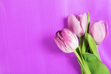 Obraz premium Tulips on desk.
