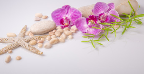 Obraz na płótnie Canvas Spa background with stones and purple orchid isolated on white