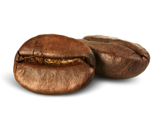 closeup two coffee beans isolated on white with path