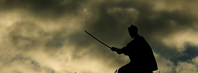 Warrior with sword panorama silhouette