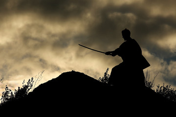 Fighter with a sword silhouette a sky ninja