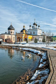 Voznesenskaya Davidova Pustyn Chekhov district of Russia, historical and cultural monument of history, a pond with swans and reflections