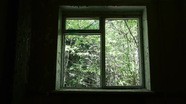 Window in the deserted house. Smooth and slow dolly shot