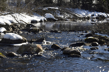 Little stream in the forest with snow in the background