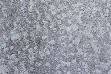 Old gray concrete texture