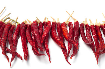 Red dried chili pepper on white background