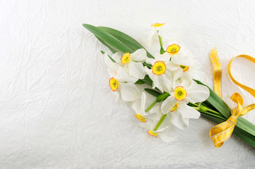 Narcissus flowers bouquet on white background